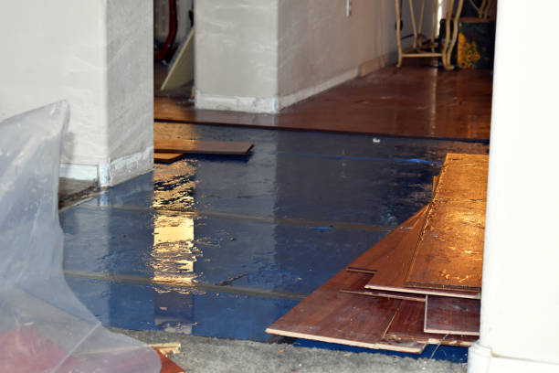 Professional Basement Flood Cleanup technician working in Baxter, TN